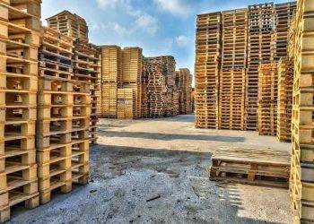 Recycling Wood, How to Build a Business Out of It