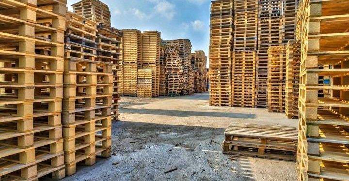 Recycling Wood, How to Build a Business Out of It