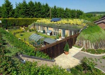 Making Your Home More Sustainable and Eco-friendly