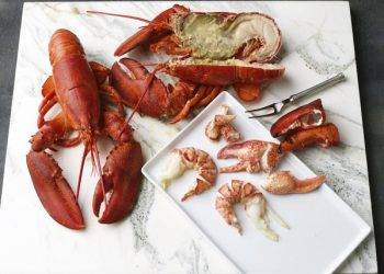 Buy fresh lobster claws from global seafood