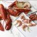 Buy fresh lobster claws from global seafood