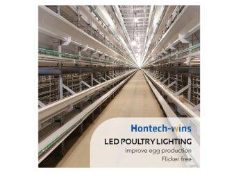 4 Ways That LED Can Improve Your Efficiency in Farms