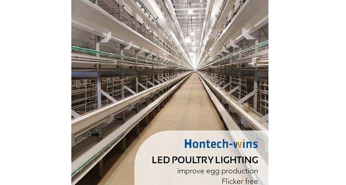 4 Ways That LED Can Improve Your Efficiency in Farms