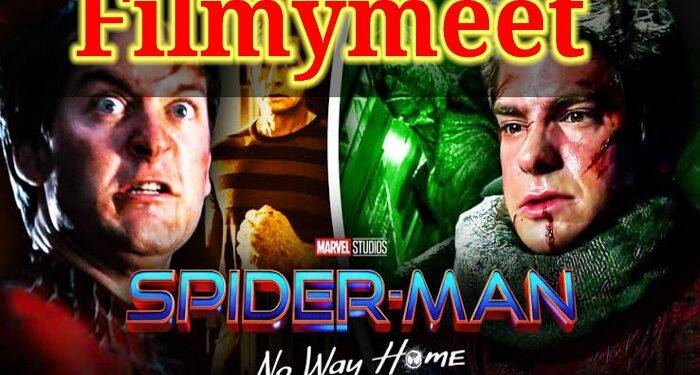 Why Filmymeet is Not Working on Android