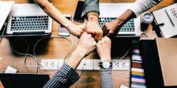 Why Your Company Should Implement Workplace Wellness Programs