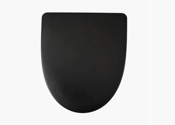 Smart Bidet Toilet Seat: Luxury or Necessity?