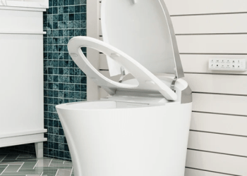 Experience Exceptional Comfort with the Horow Toilet with Bidet
