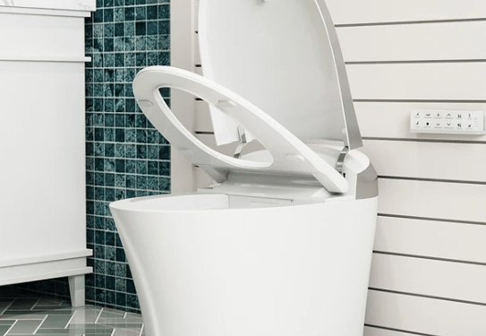 Experience Exceptional Comfort with the Horow Toilet with Bidet